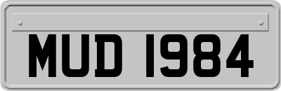 MUD1984