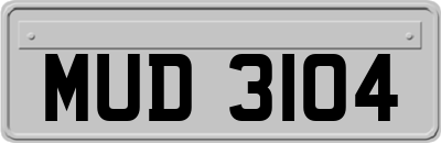 MUD3104