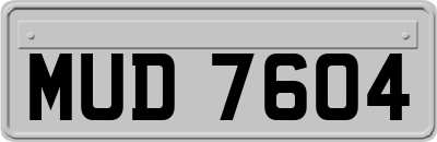 MUD7604