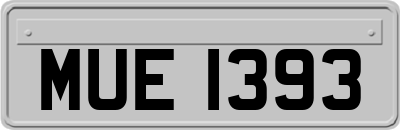 MUE1393