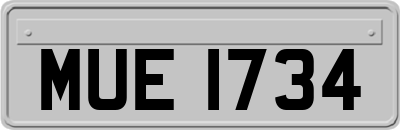 MUE1734