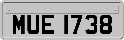 MUE1738