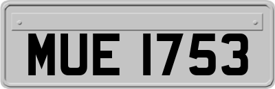 MUE1753