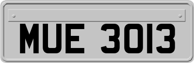 MUE3013