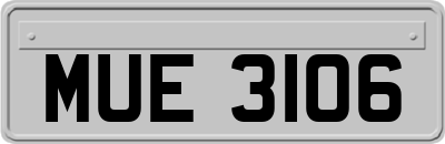 MUE3106