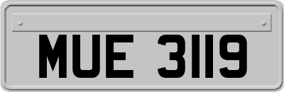 MUE3119