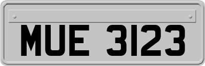 MUE3123