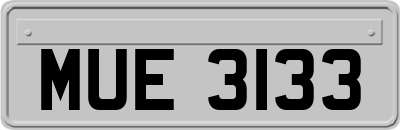 MUE3133