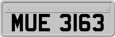 MUE3163