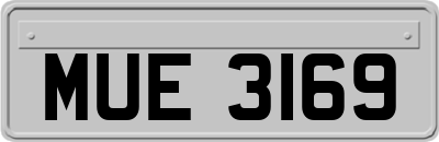 MUE3169