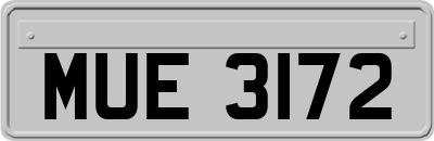 MUE3172