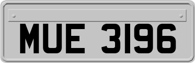 MUE3196