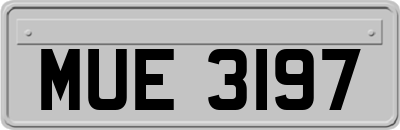 MUE3197