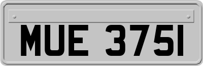 MUE3751