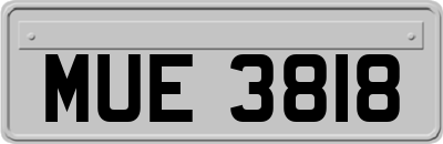 MUE3818