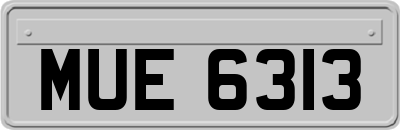 MUE6313