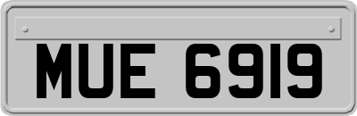 MUE6919