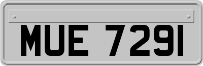 MUE7291