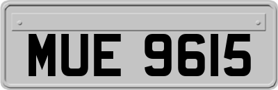 MUE9615