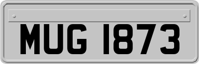 MUG1873