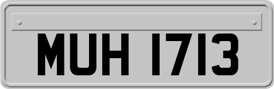 MUH1713