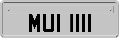 MUI1111