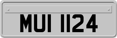 MUI1124