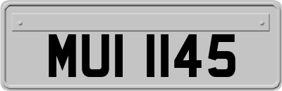 MUI1145