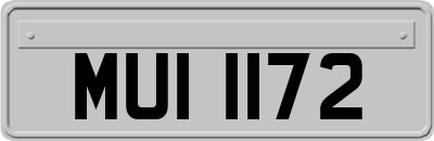 MUI1172