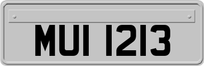 MUI1213