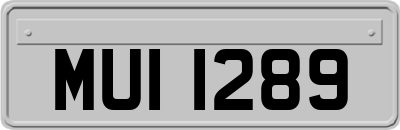 MUI1289