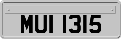MUI1315
