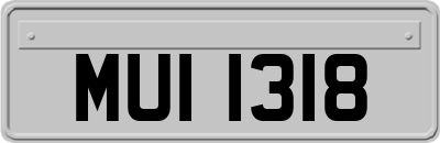 MUI1318