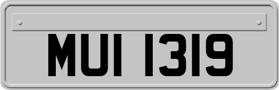 MUI1319