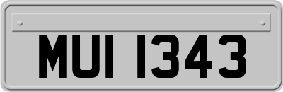 MUI1343