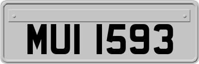 MUI1593