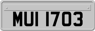 MUI1703