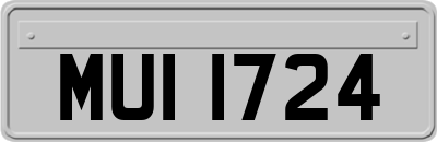 MUI1724