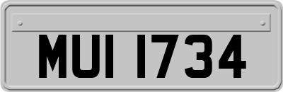 MUI1734