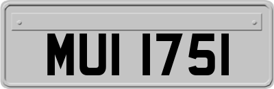 MUI1751