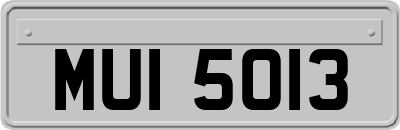 MUI5013