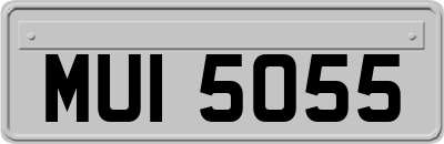 MUI5055