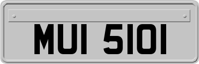 MUI5101