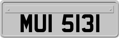 MUI5131