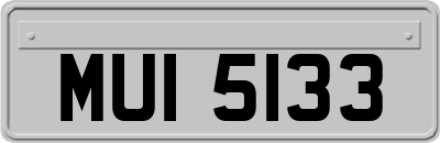 MUI5133