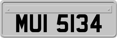 MUI5134