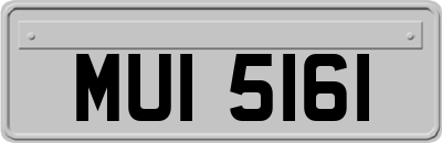 MUI5161