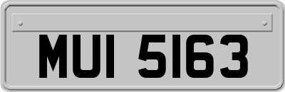 MUI5163