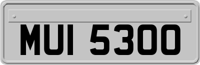 MUI5300