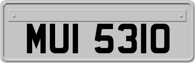 MUI5310